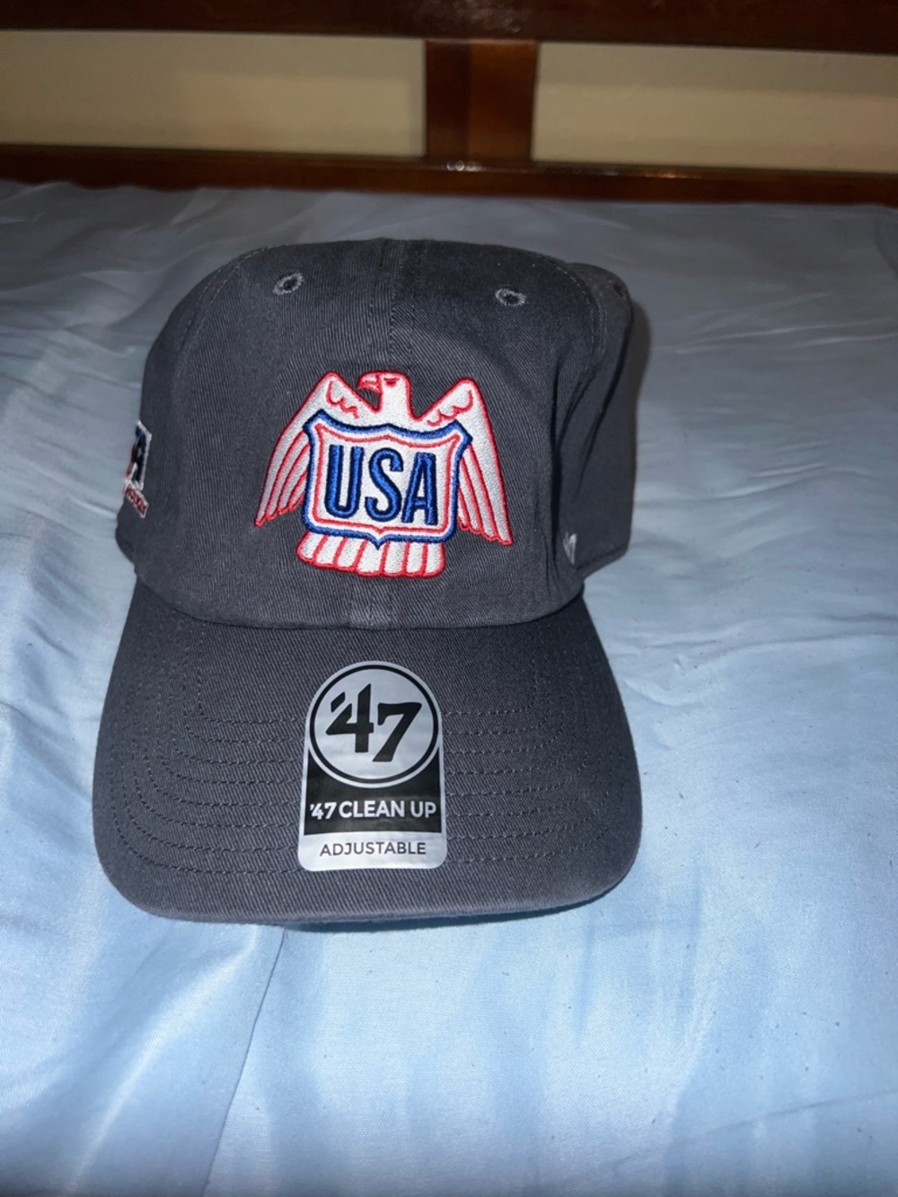 USA hockey hat